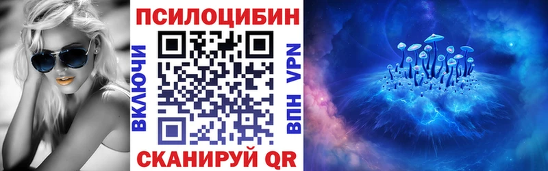 Псилоцибиновые грибы Psilocybe  как найти закладки  Мещовск 